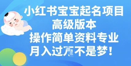 小红书宝宝起名项目高级版本，操作简单，资料专业，月入过W-慕途网