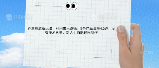 AI养生赛道新玩法，10条作品涨粉5.2W，操作简单，新人小白能轻松制作-慕途网