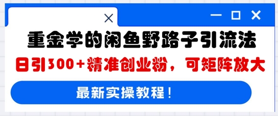 重金学的闲鱼野路子引流法，日引300+精准创业粉，可矩阵放大-慕途网