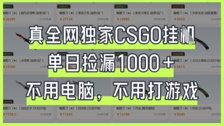 真全网独家CSGO挂G，单日捡漏1k+【揭秘】-慕途网